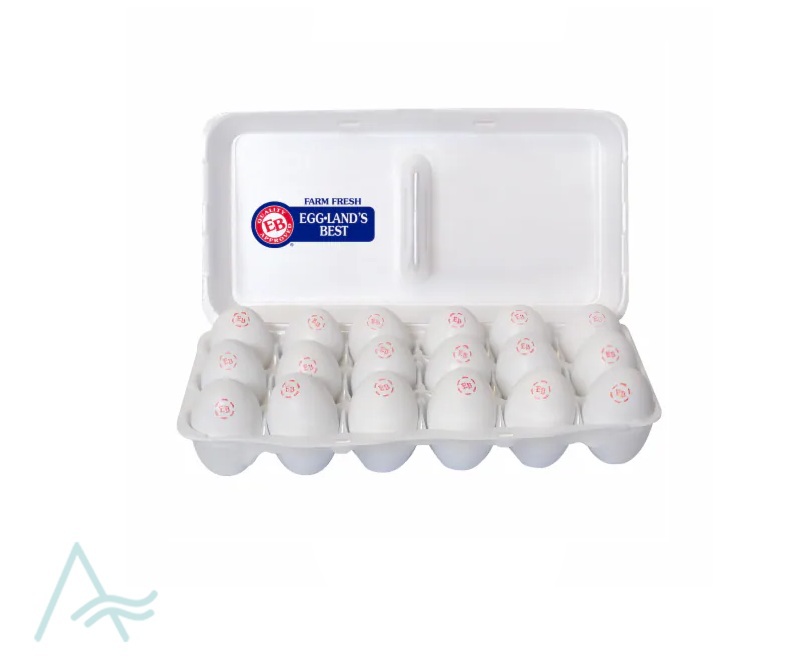 HOLLYFIELD WHITE EGG 18S